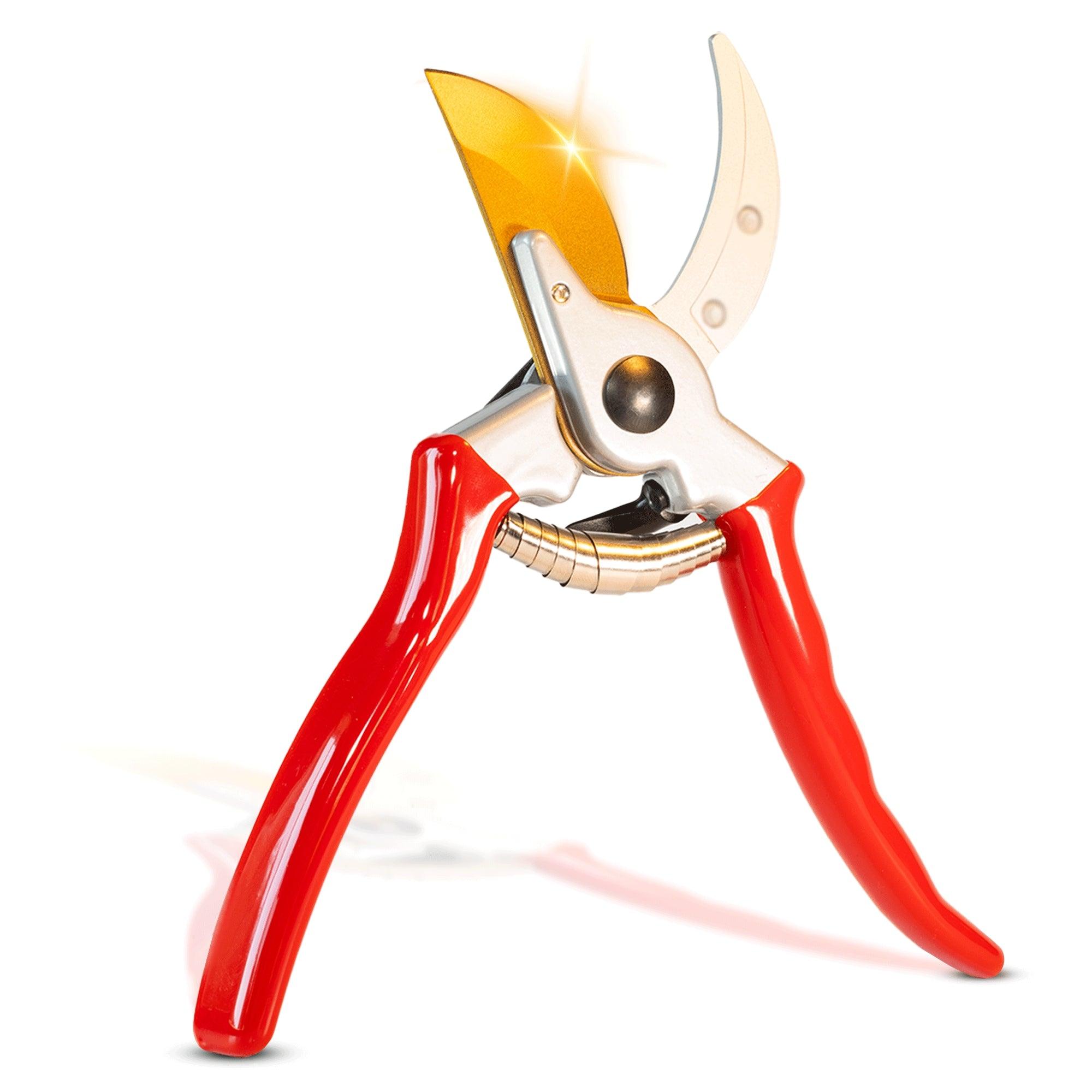 The Ultimate Guide to the Best Pruning Shears of 2024: Expert Reviews and Top Picks